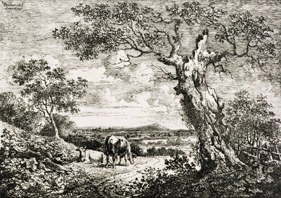 Twee koeien in een veld door George Walker