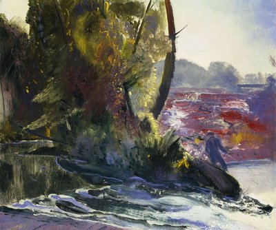 Visser en Stroom, 1920 door George Wesley Bellows