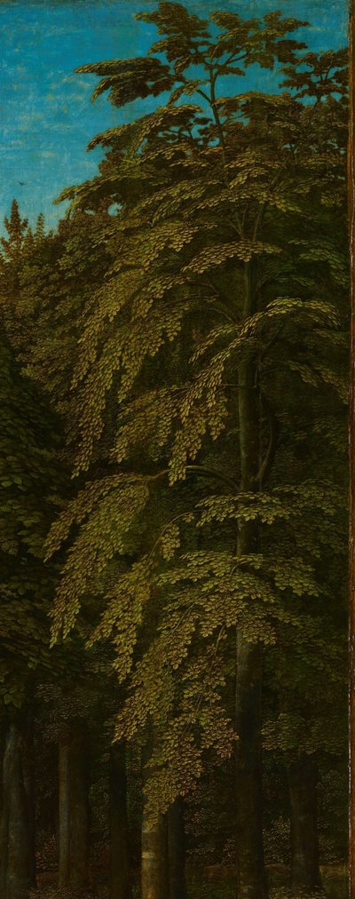 Gezicht in een bos, buitenste rechtervleugel van een drieluik door Gerard David
