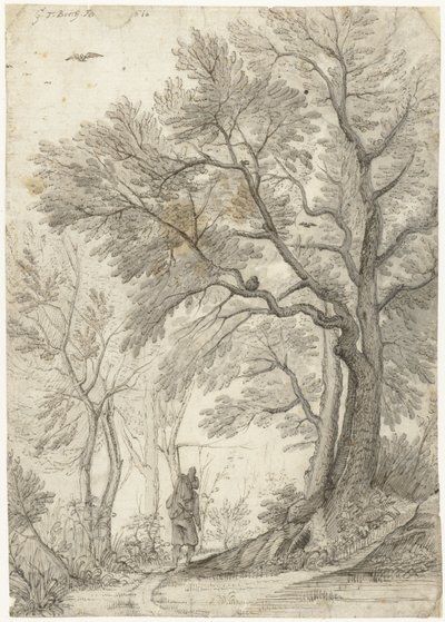Bos van de Villa Madama buiten Rome door Gerard ter Borch