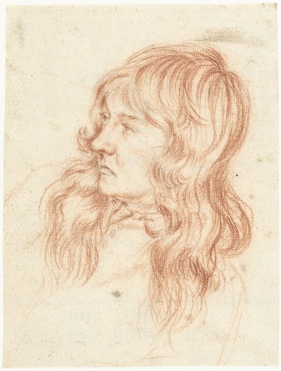 Hoofd van een jongeman, naar links door Gerard ter Borch (II)