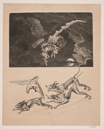 Paneel met uil vliegend met haas eronder; honden, haas en jachtvalk door Gerhard Ludvig Lahde
