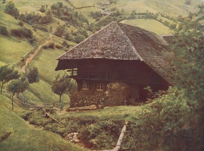 Traditionele boerderij in het Zwarte Woud, Duitsland (kleurenfoto) door German Photographer