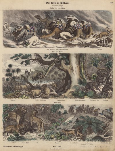 Afrika: een karavaan gevangen in een zandstorm in de Sahara; de kust van Guinee; Zuid-Afrika (gekleurde gravure) door German School