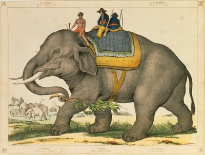 Een olifant gebruikt om op zijn eigen soort te jagen, picturaal pamflet uitgegeven door Joseph Scholz, Mainz, ca. 1860 door German School