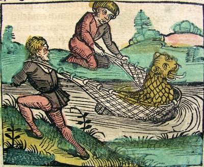 Vangen van een Leeuw Kat vis Monster, gepubliceerd in de Neurenberg Kroniek, 1493 door German School