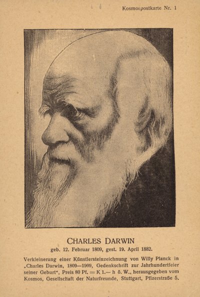 Charles Darwin (1809-1882), Engels natuuronderzoeker (litho) door German School