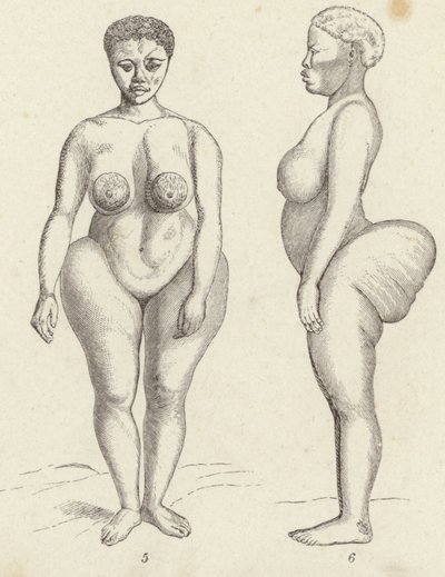 Hottentot Venus door German School