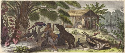 Indiaans huis aan de Orinoco-rivier door German School