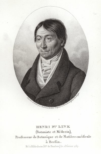 Johann Heinrich Friedrich Link door German School
