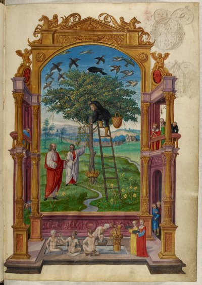Gouden boom met kroon, de andere parabel, uit 