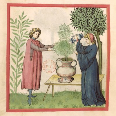 Ms Lat 9333 fol.30 Marjolein, uit Tacuinum Sanitatis door German School