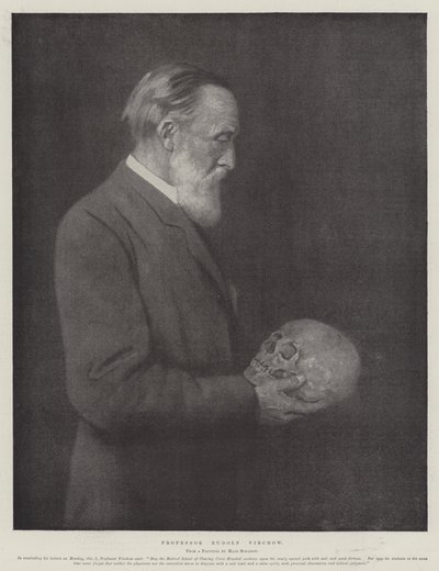 Professor Rudolf Virchow door German School