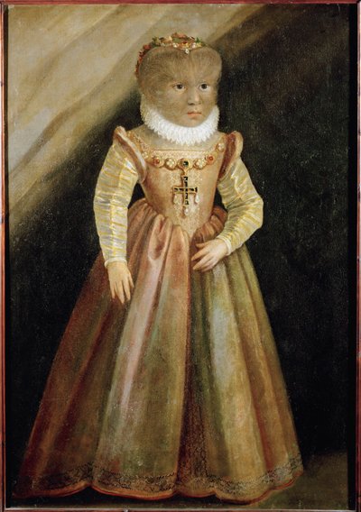 De dochter van Petrus Gonzalvus, de harige man van Teneriffa ... door German School