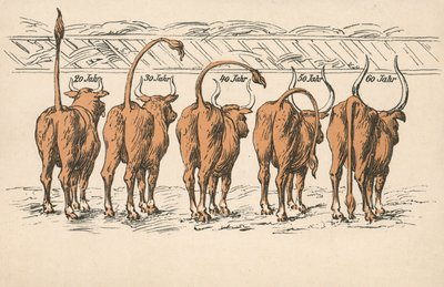 De effecten van veroudering (kleurenlitho) door German School