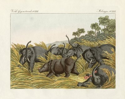 Het gevecht van de neushoorn met de olifanten door German School