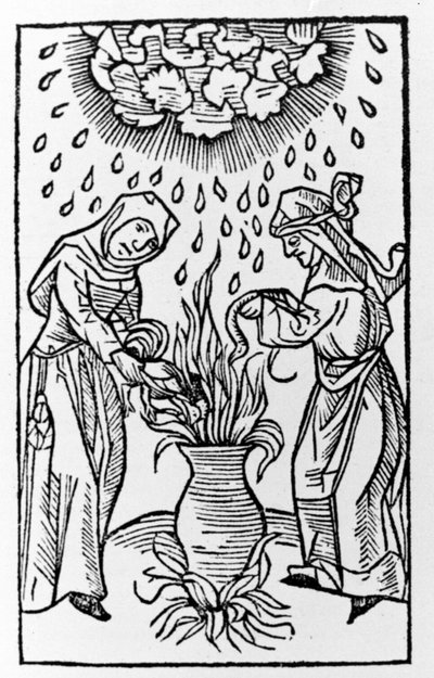 Twee heksen bereiden een toverdrank, roepen een hagelstorm op - gravure uit 