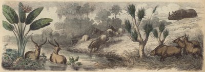 Waterplaats in Zuid-Afrika door German School