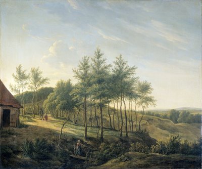 Heuvelachtig landschap door Gerrit Jan Michaelis