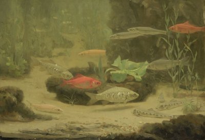 Goud- en zilvervissen in een aquarium door Gerrit Willem Dijsselhof