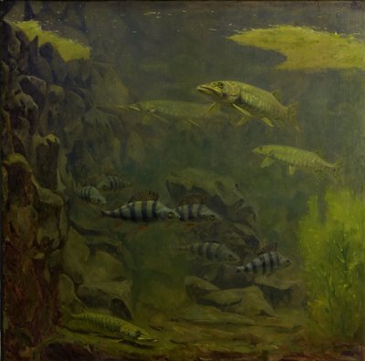 Snoek en Baars in een Aquarium door Gerrit Willem Dijsselhof