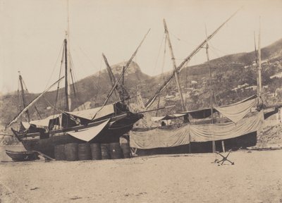 Salerne,1855 (foto) door Giacomo Caneva