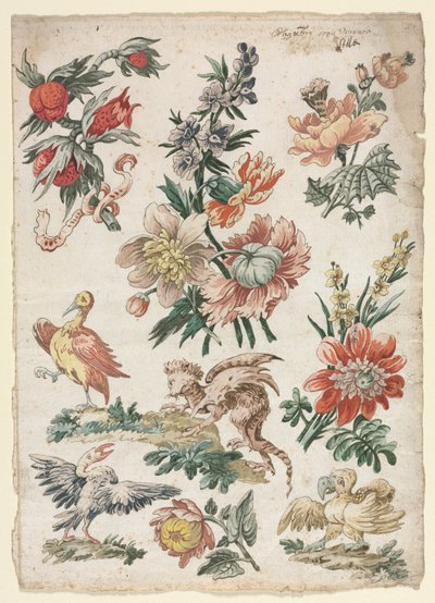 Bloemmotieven met vogels en griffioen, 1784 door Giacomo Cavenezia