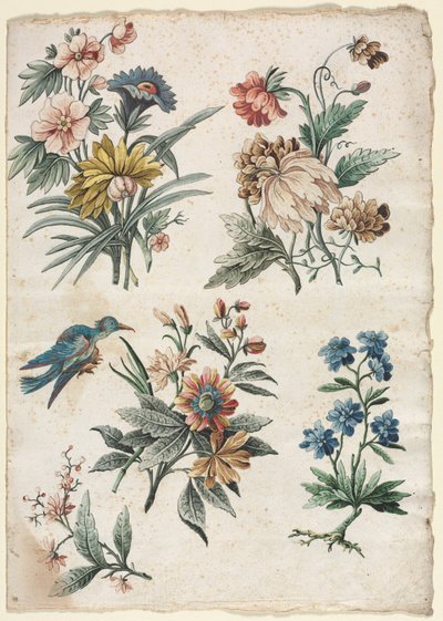 Bloemmotieven met een Blauwe Vogel door Giacomo Cavenezia