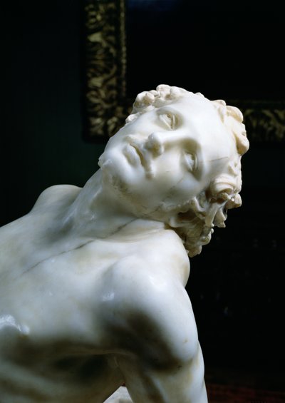 Het Martelaarschap van St. Laurentius, detail van het hoofd van de heilige (detail) door Gian Lorenzo Bernini