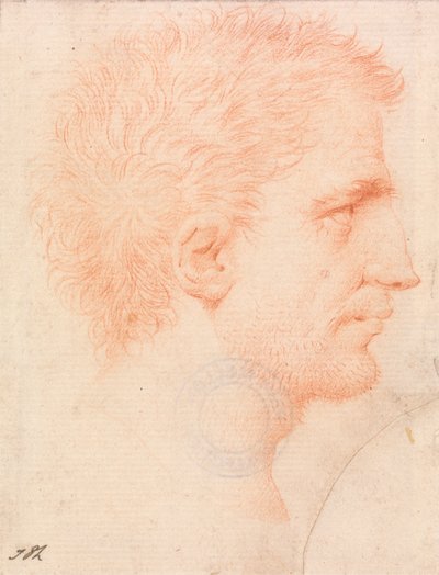 Hoofd van een man met stoppels, naar rechts kijkend door Giles Hussey