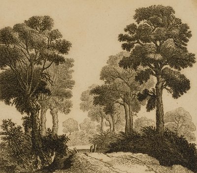 Landschap door Gillis Neyts