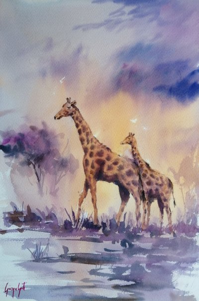 Afrikaanse giraffen bij zonsondergang door Giorgio Gosti