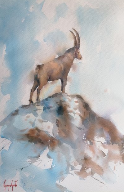Majestueuze alpensteenbok door Giorgio Gosti