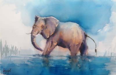 Majestueuze olifant waadt door Giorgio Gosti