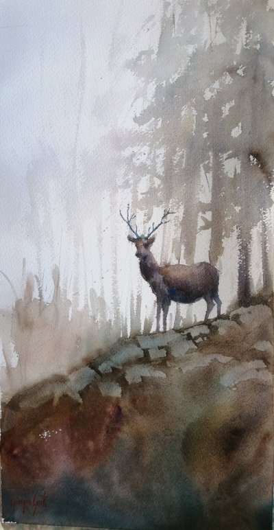 Hert in het mistige bos door Giorgio Gosti