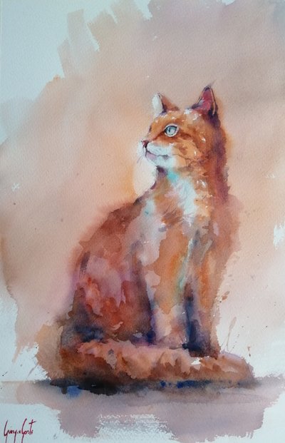 Oranje kat in aquarel door Giorgio Gosti