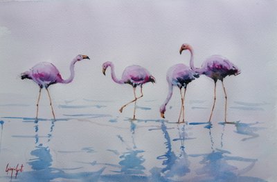Roze flamingo’s waden door Giorgio Gosti