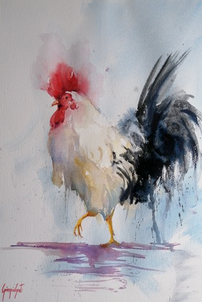 Trotse haan - aquarel door Giorgio Gosti