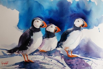 Drie papegaaiduikers in aquarel door Giorgio Gosti