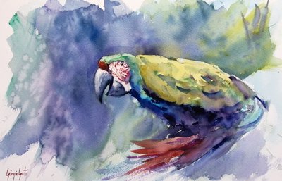 Levendige ara in aquarel door Giorgio Gosti