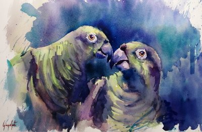 Groene papegaaien in aquarel door Giorgio Gosti
