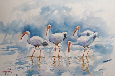 Weerspiegelingen van de witte ibis door Giorgio Gosti