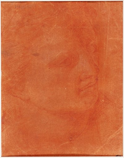 Hoofd in driekwart profiel (recto); Staande jonge man wijzend naar links en schetsen van voeten, arm (verso) door Giorgione