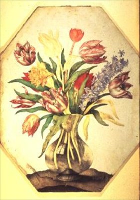 Glazen Vaas met Tulpen en een Hyacint door Giovanna Garzoni