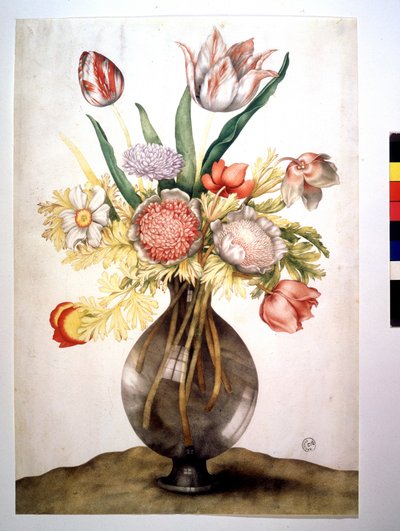 Klaprozen, tulpen en pioenroos door Giovanna Garzoni