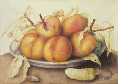 Bord met Perziken en een Augurk door Giovanna Garzoni