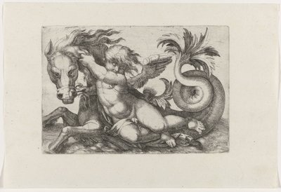 Putto rijdend op zeepaard door Giovanni Andrea Maglioli