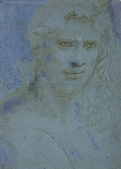 Buste van een jonge gekroond met doornen en wijnranken, ca. 1495 door Giovanni Antonio Boltraffio