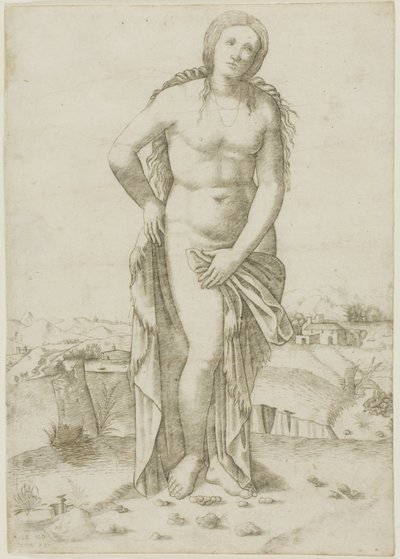 Venus door Giovanni Antonio da Brescia