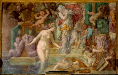 School van Fontainebleau: Venus bij de fontein door Giovanni Battista Rosso Fiorentino
